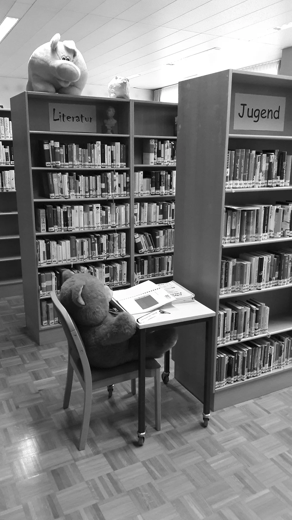 bibliothek-02sw