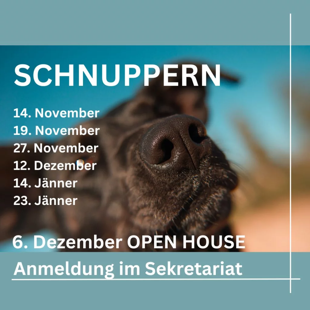2024_11_15_schnuppern