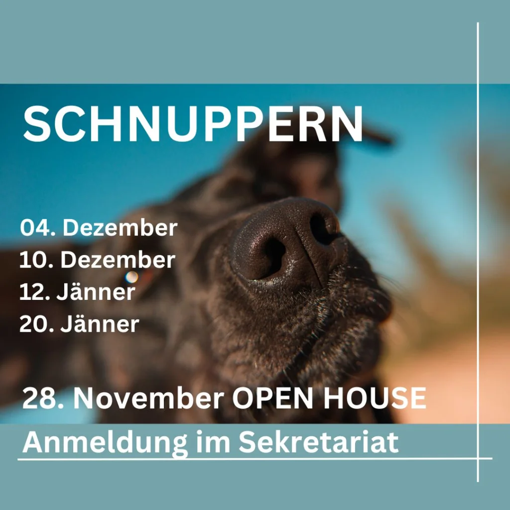 2025_11_20_schnuppern_01