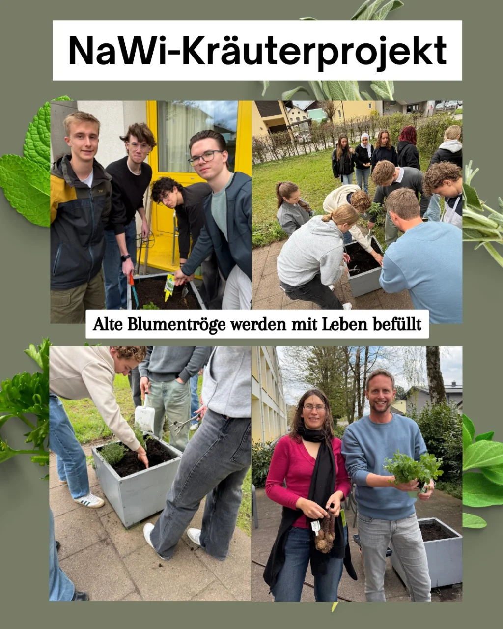 2026_04_29_kräuterprojekt_01